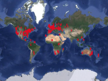 The Collaborative of AIDS Memorial Sites (CAMS)